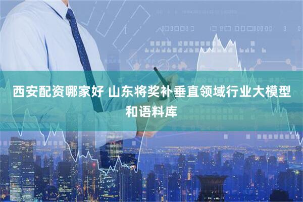 西安配资哪家好 山东将奖补垂直领域行业大模型和语料库