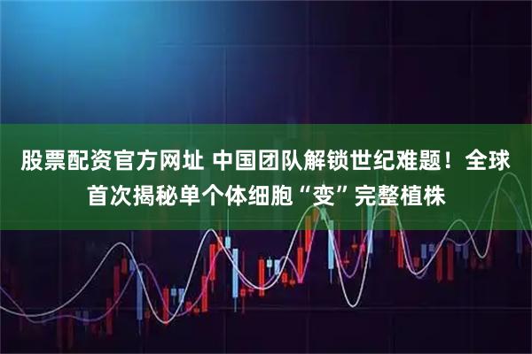 股票配资官方网址 中国团队解锁世纪难题！全球首次揭秘单个体细胞“变”完整植株