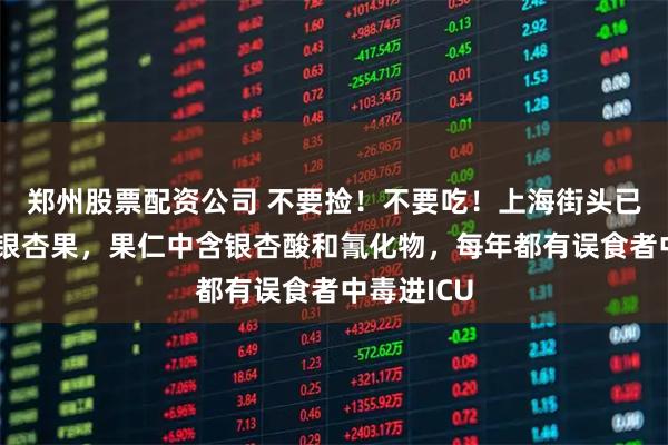 郑州股票配资公司 不要捡！不要吃！上海街头已出现大量银杏果，果仁中含银杏酸和氰化物，每年都有误食者中毒进ICU