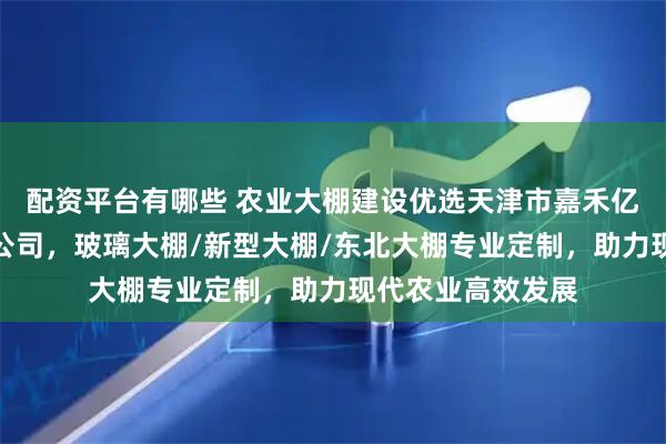 配资平台有哪些 农业大棚建设优选天津市嘉禾亿方科技发展有限公司,玻璃大棚/新型大棚/东北大棚专业定制,助力现代农业高效发展