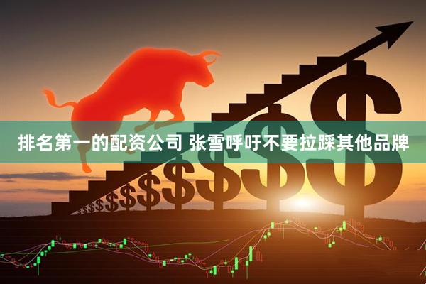 排名第一的配资公司 张雪呼吁不要拉踩其他品牌